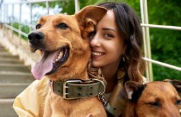 The UK’s Largest Multi-Species Pet Show. Supported by charities like Battersea, PDSA, Dogs Trust, and Guide Dogs. - investment opportunity