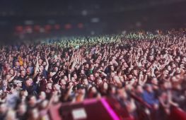 A boutique production and tour support company, bringing an attentive and personal service to international artists. - investment opportunity