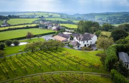 Family-run, Award-Winning Vineyard, Restaurant & Rooms. Business rated highly on Tripadvisor and Booking.com with US presidential heritage. - investment opportunity